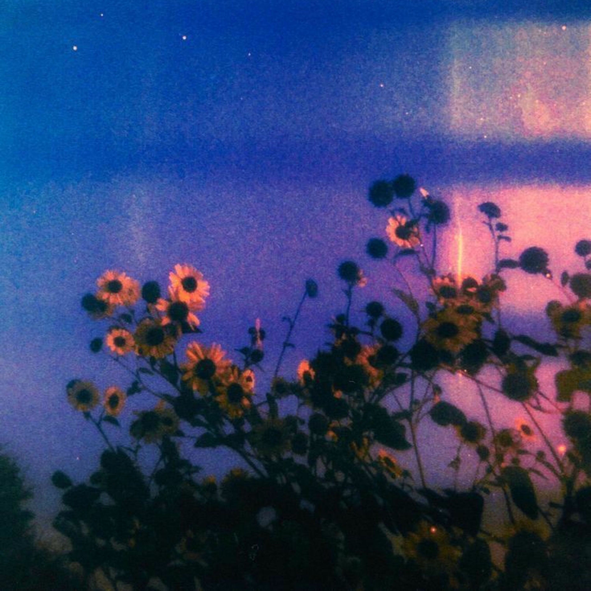 Album cover of autograph