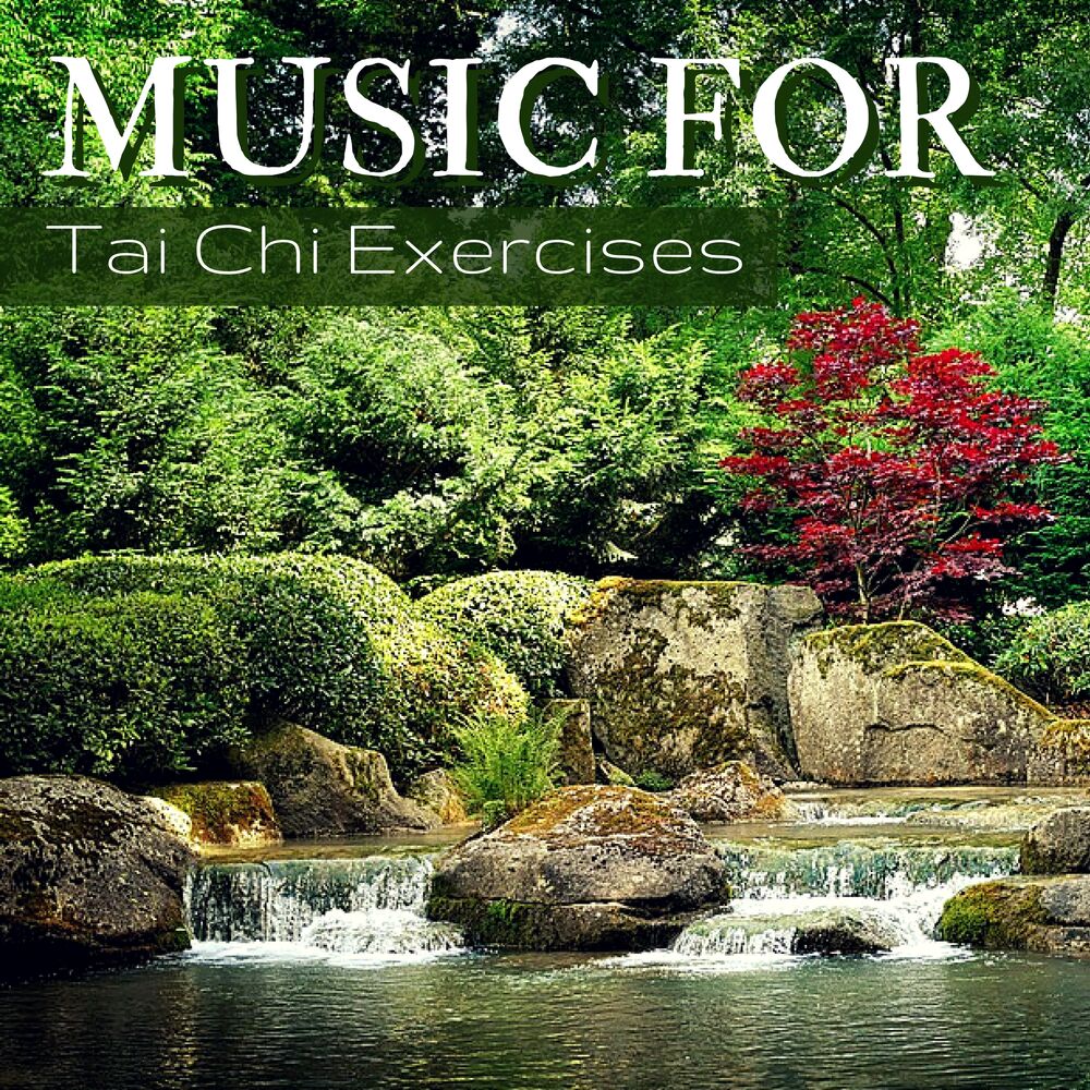 Picture of Music for Tai Chi Exercises - Relaxing Instrumental Music for Deep Meditation Journey