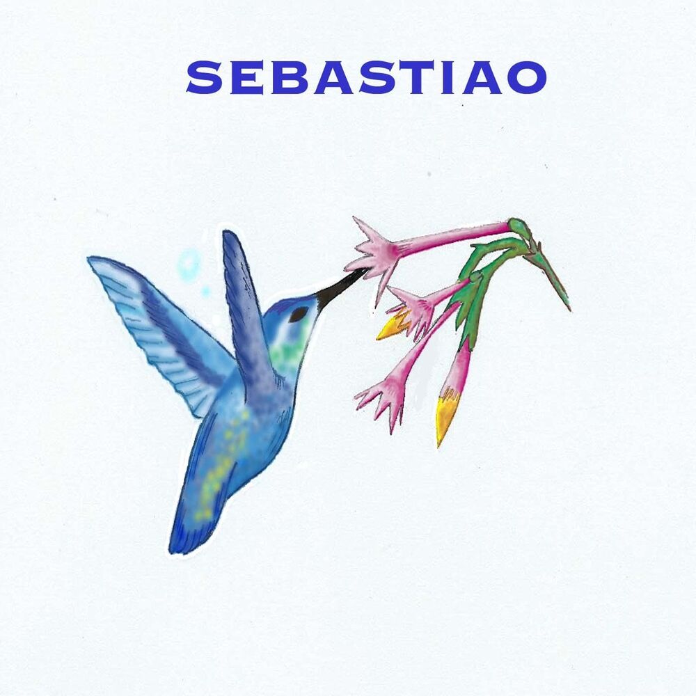 Picture of Sebastiao