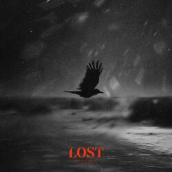 Cover of Lost