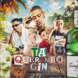 Cover of Tá Querendo Gin