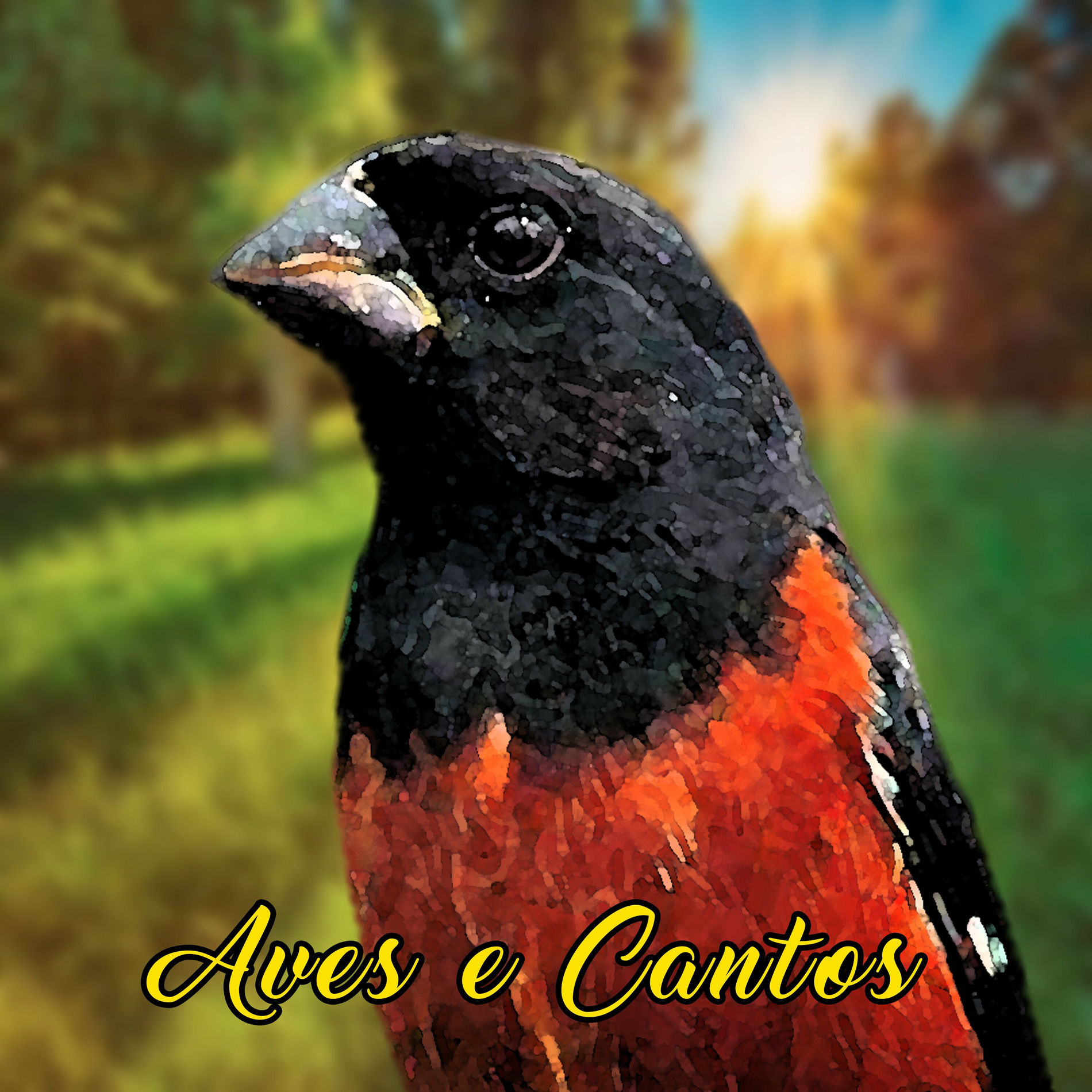 Album cover of Canto do Curió Praia Grande Clássico