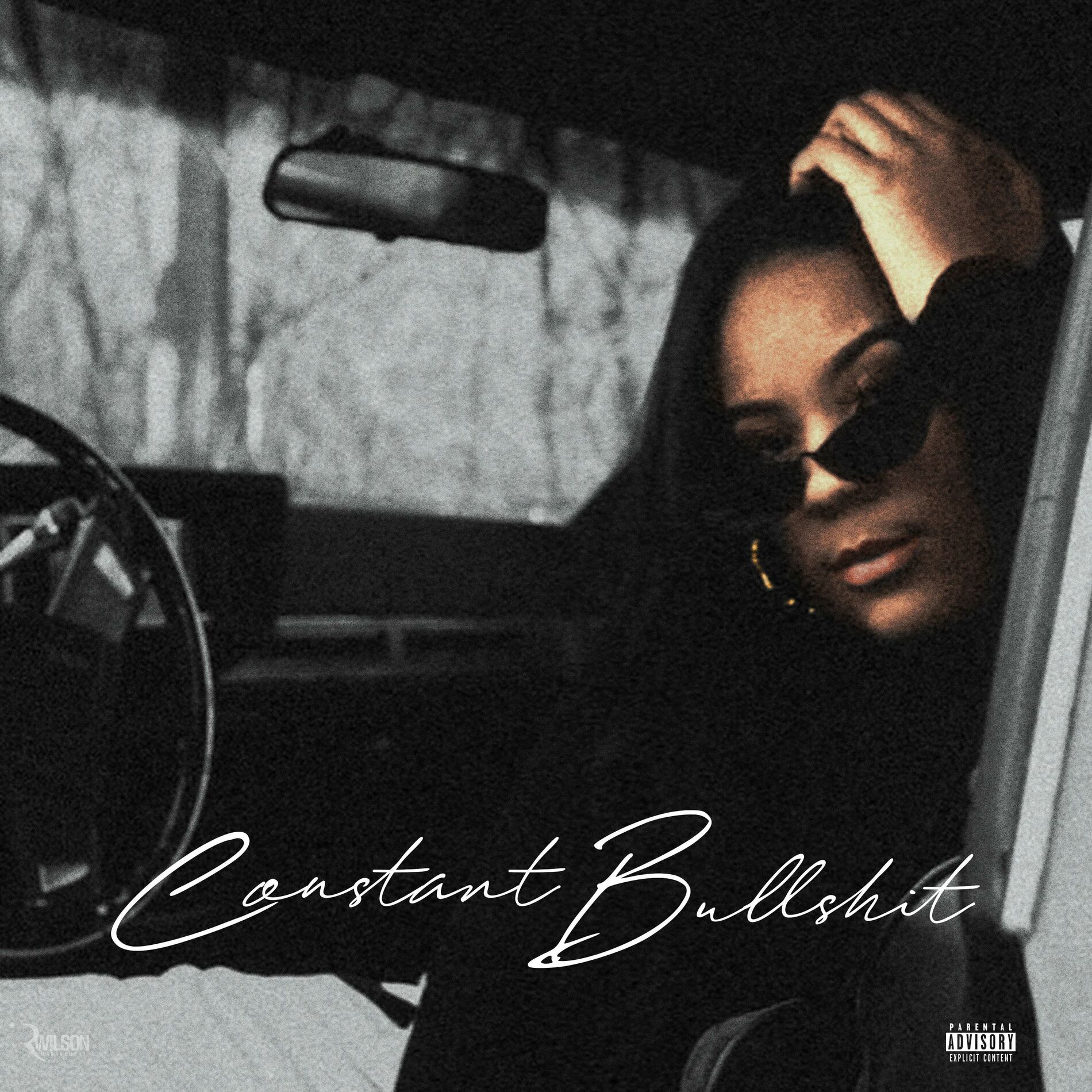 Album cover of Constant Bullshit