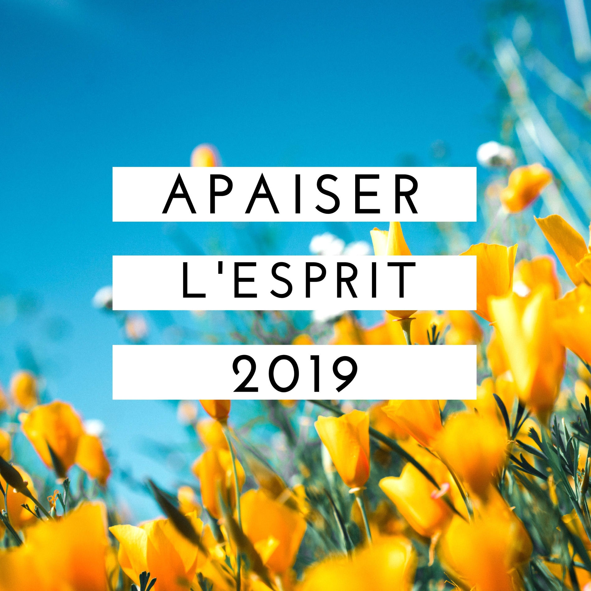 Album cover of Apaiser l'esprit 2019: Musique douce piano et nature relaxation