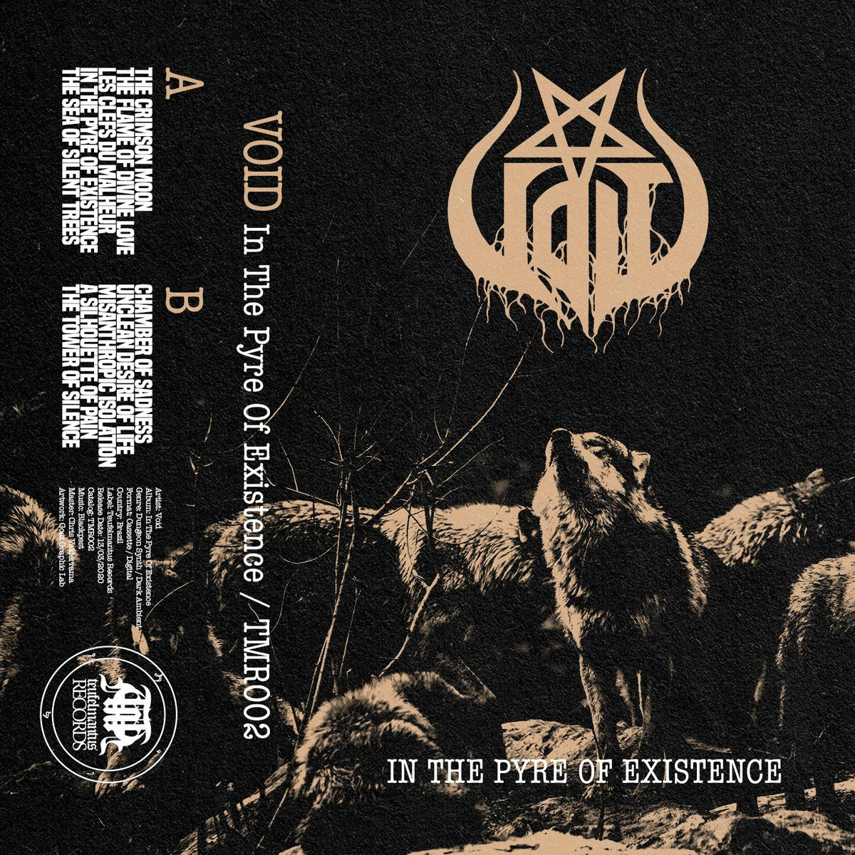 Album cover of In The Pyre Of Existence