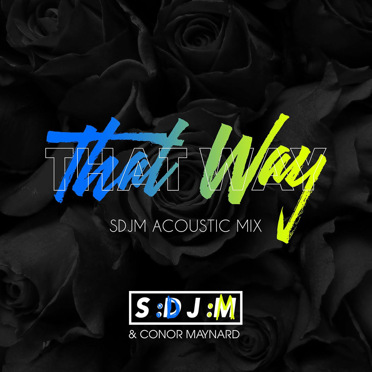 Album cover of That Way (SDJM Acoustic Mix)