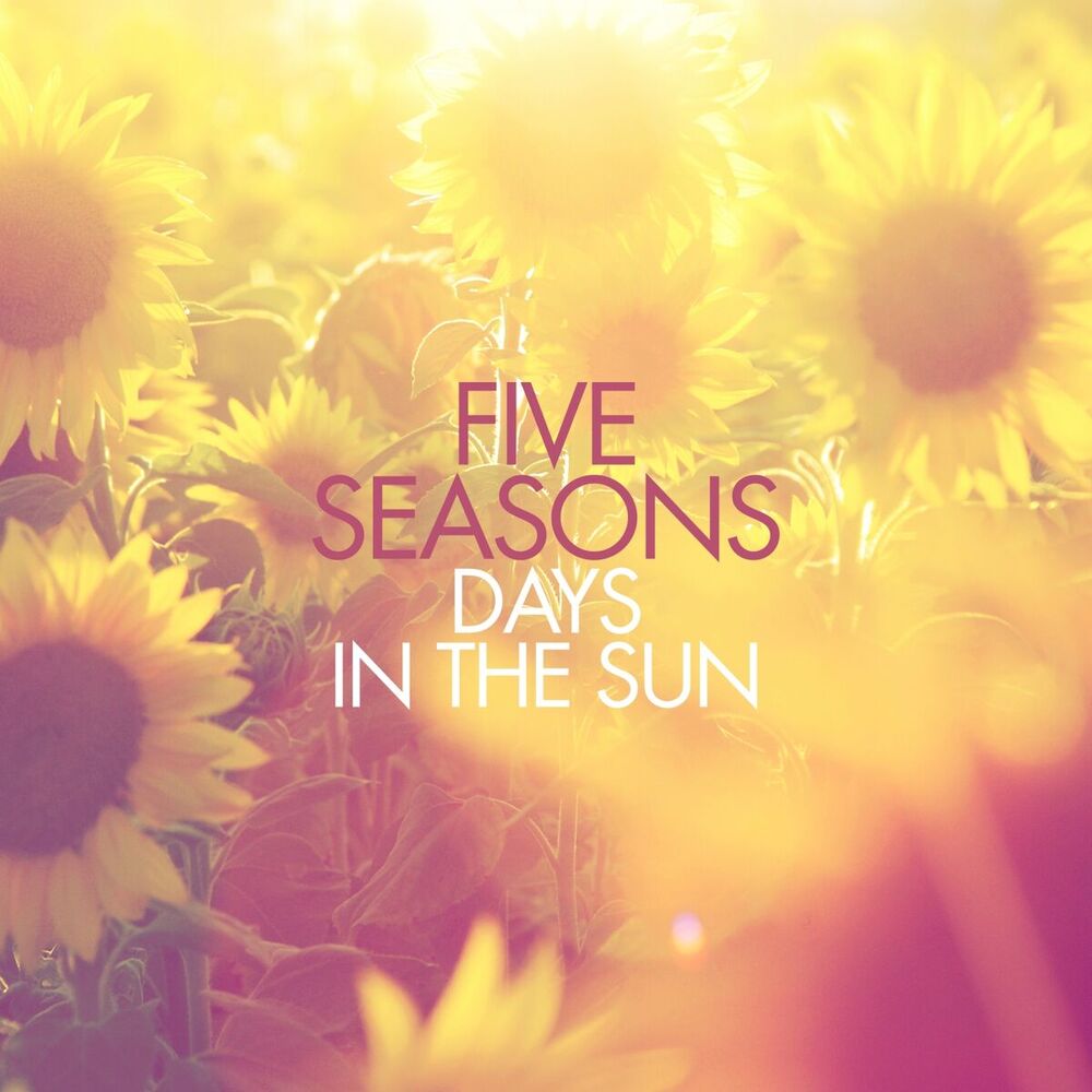 Picture of Days in the Sun
