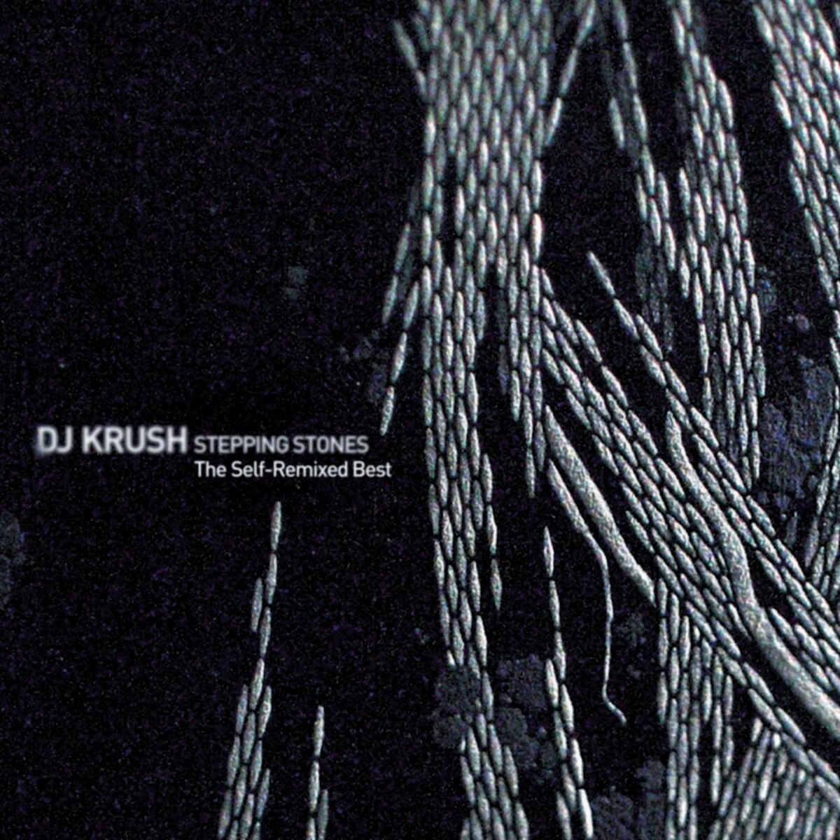 Album cover of Danger of Love