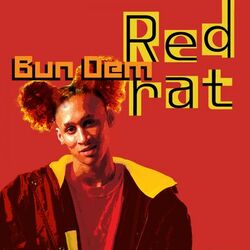 Cover of Bun Dem