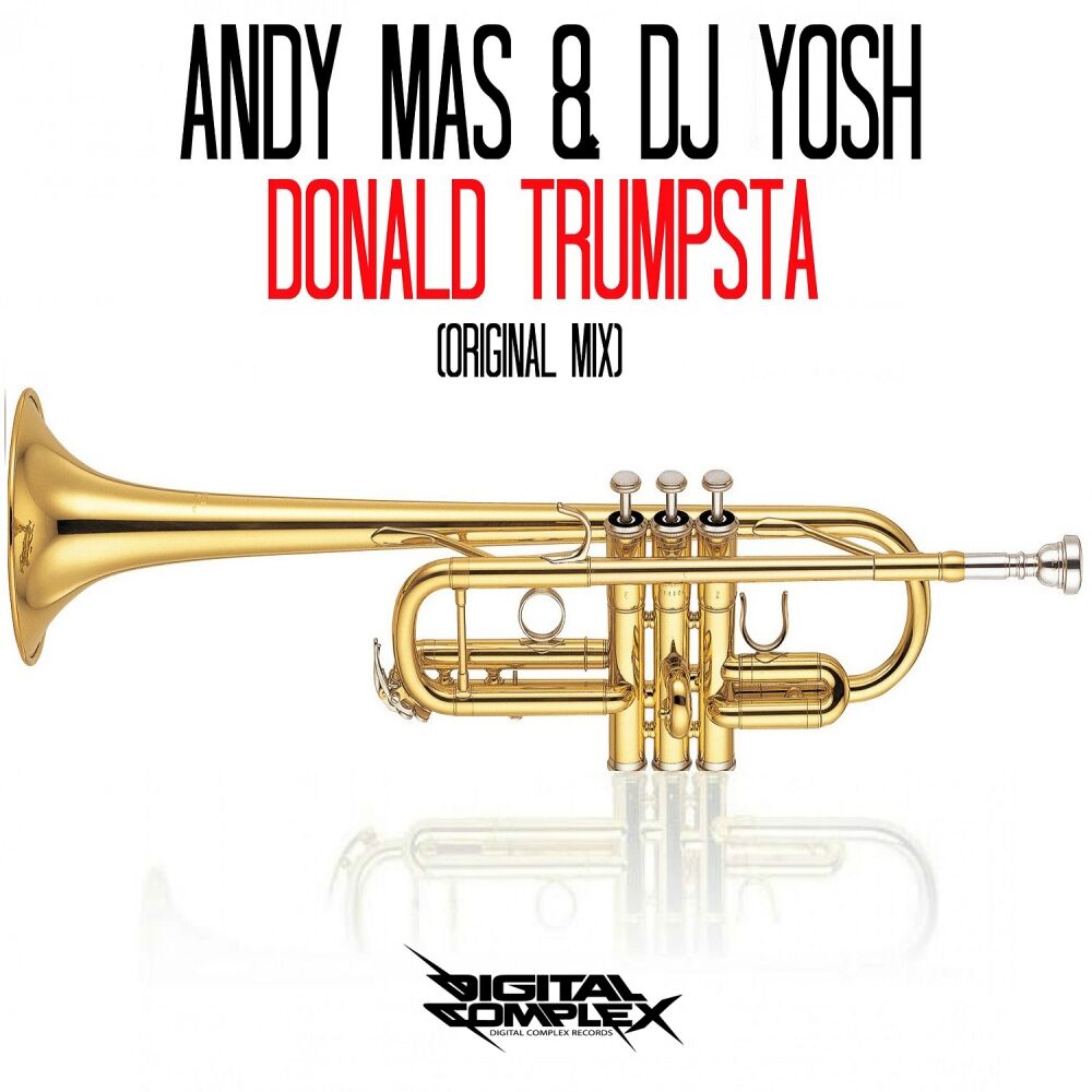 Picture of Donald Trumpsta