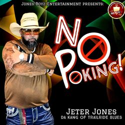 Cover of No Poking