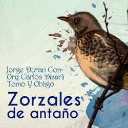 Cover of Zorzales de Antaño - Jorge Duran Con Orquesta Carlos Disarli - Tomo Y Obligo