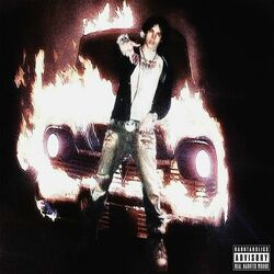 Cover of Headlights