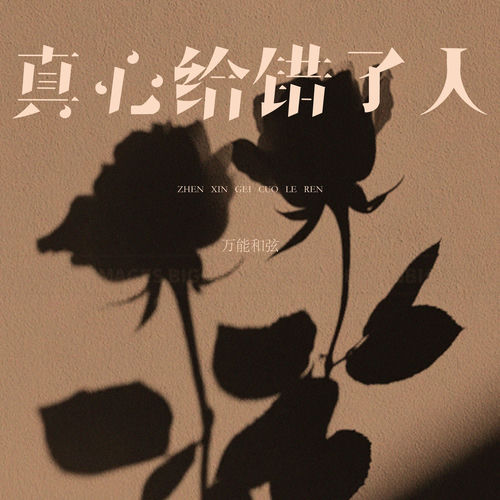 真心给错了人