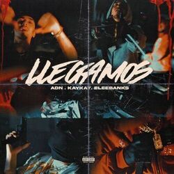 Cover of Llegamos