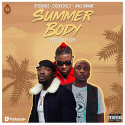 Cover of Summer Body