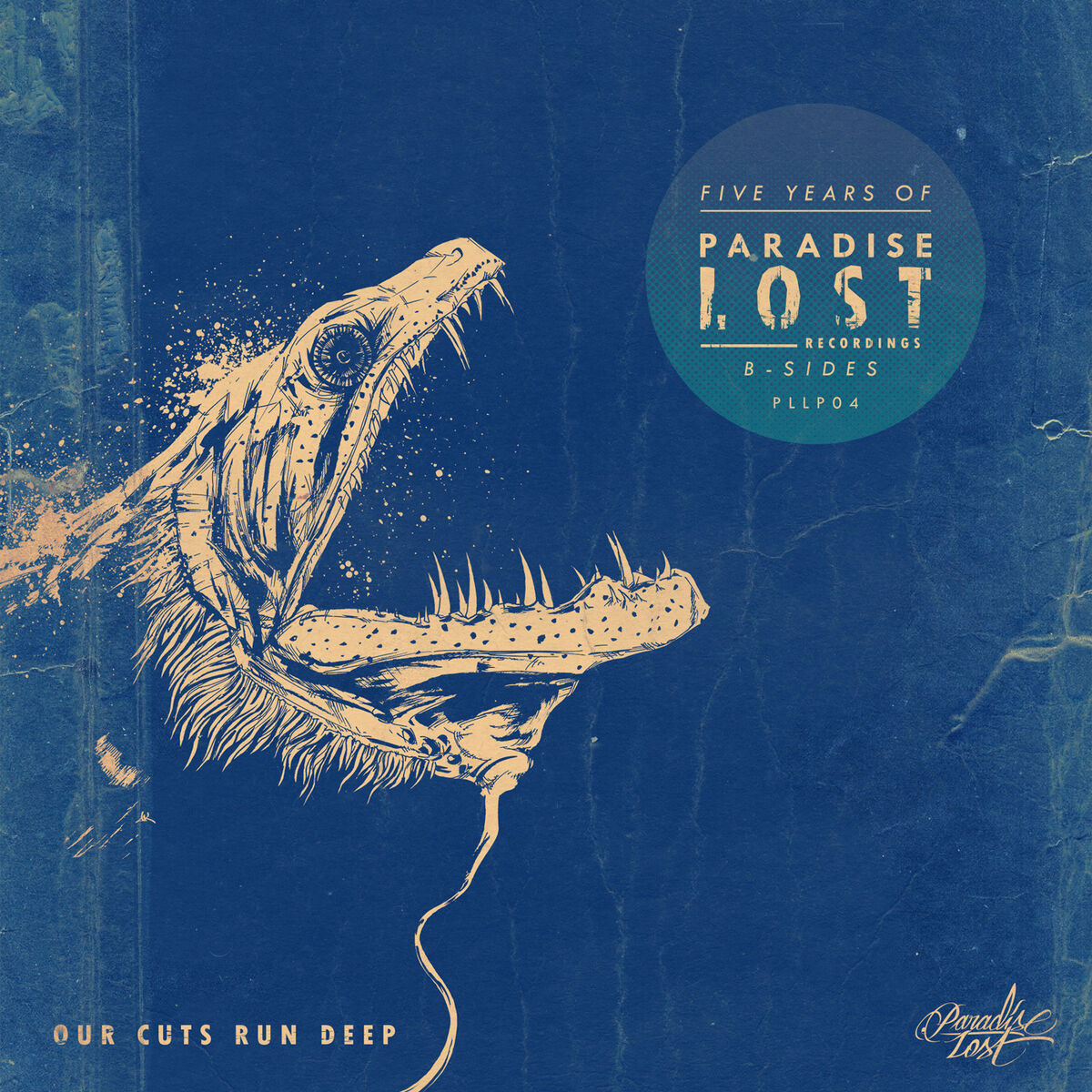 Album cover of 5 Years Paradise Lost - B-Sides