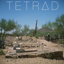 Cover of Metempsychosis