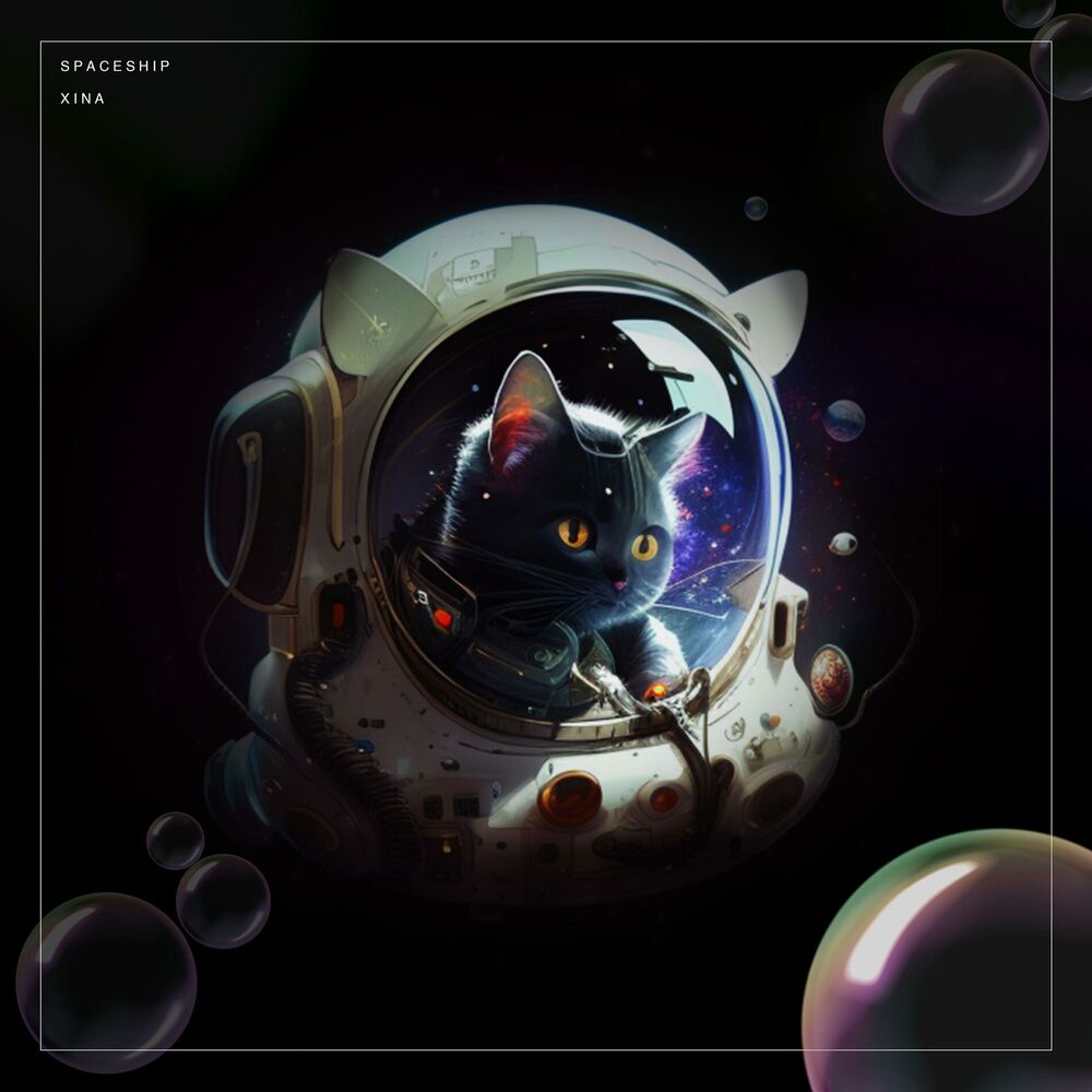 Picture of Spaceship