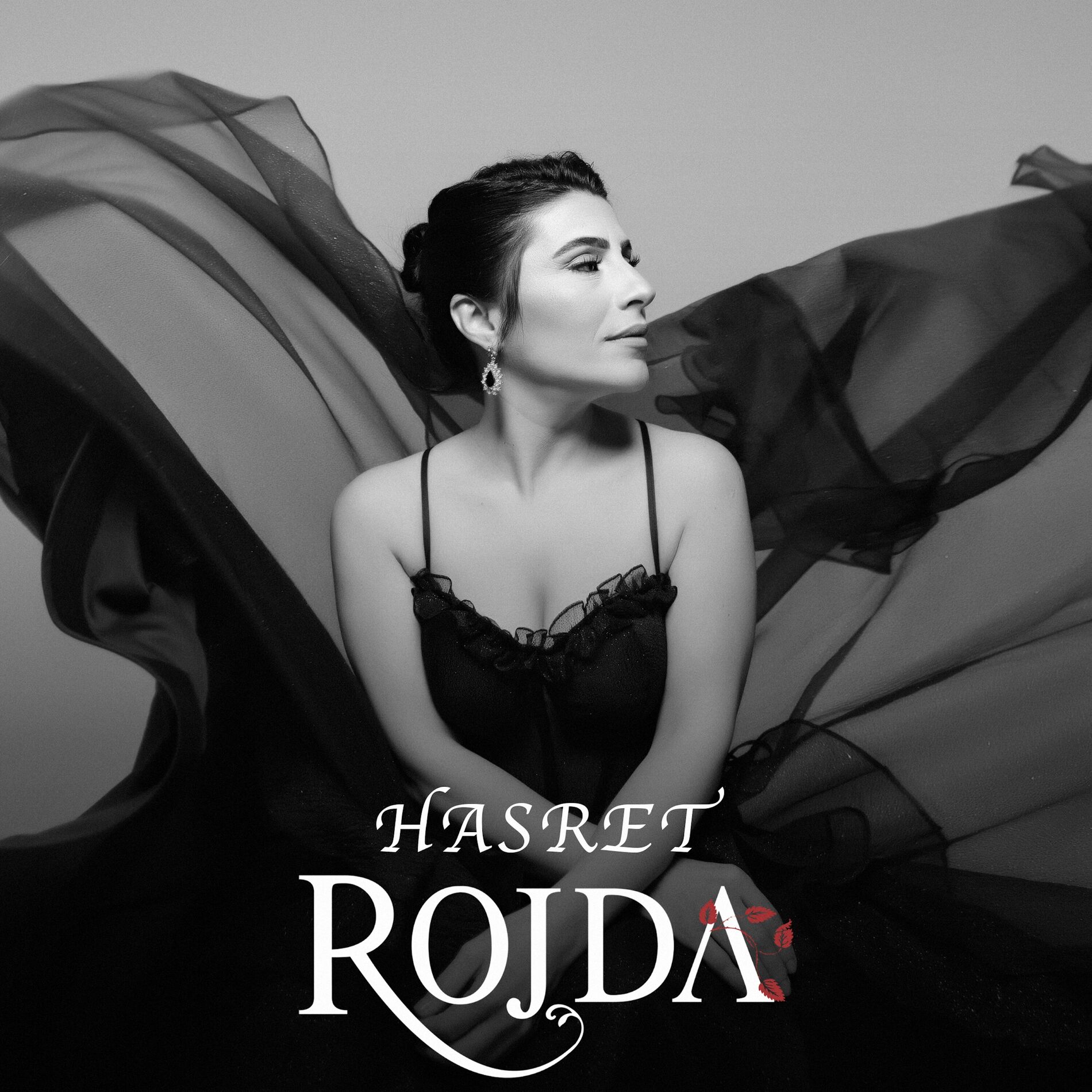Album cover of Hasret
