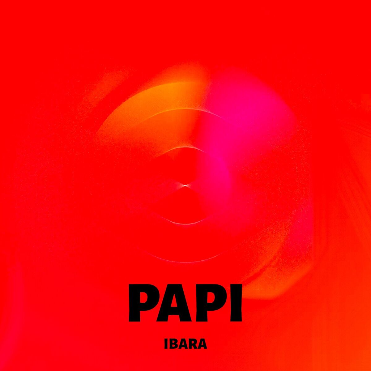 Album cover of Papi