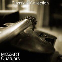 Cover of Mozart : Quatuors
