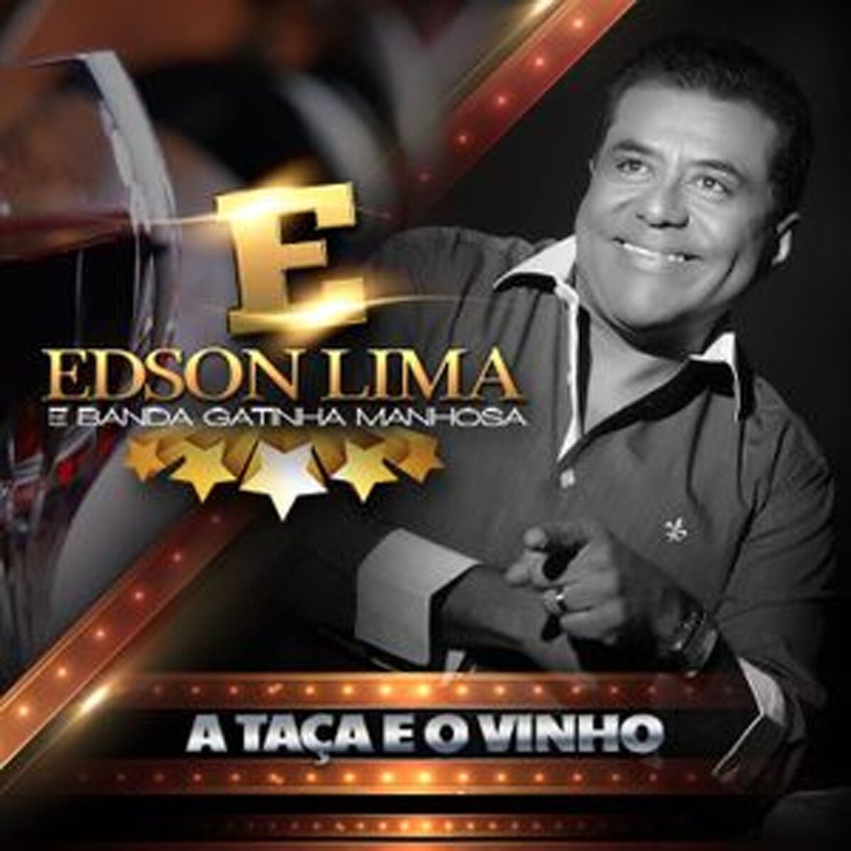 Album cover of GATINHA MANHOSA VOL-15 - A taca e o vinho