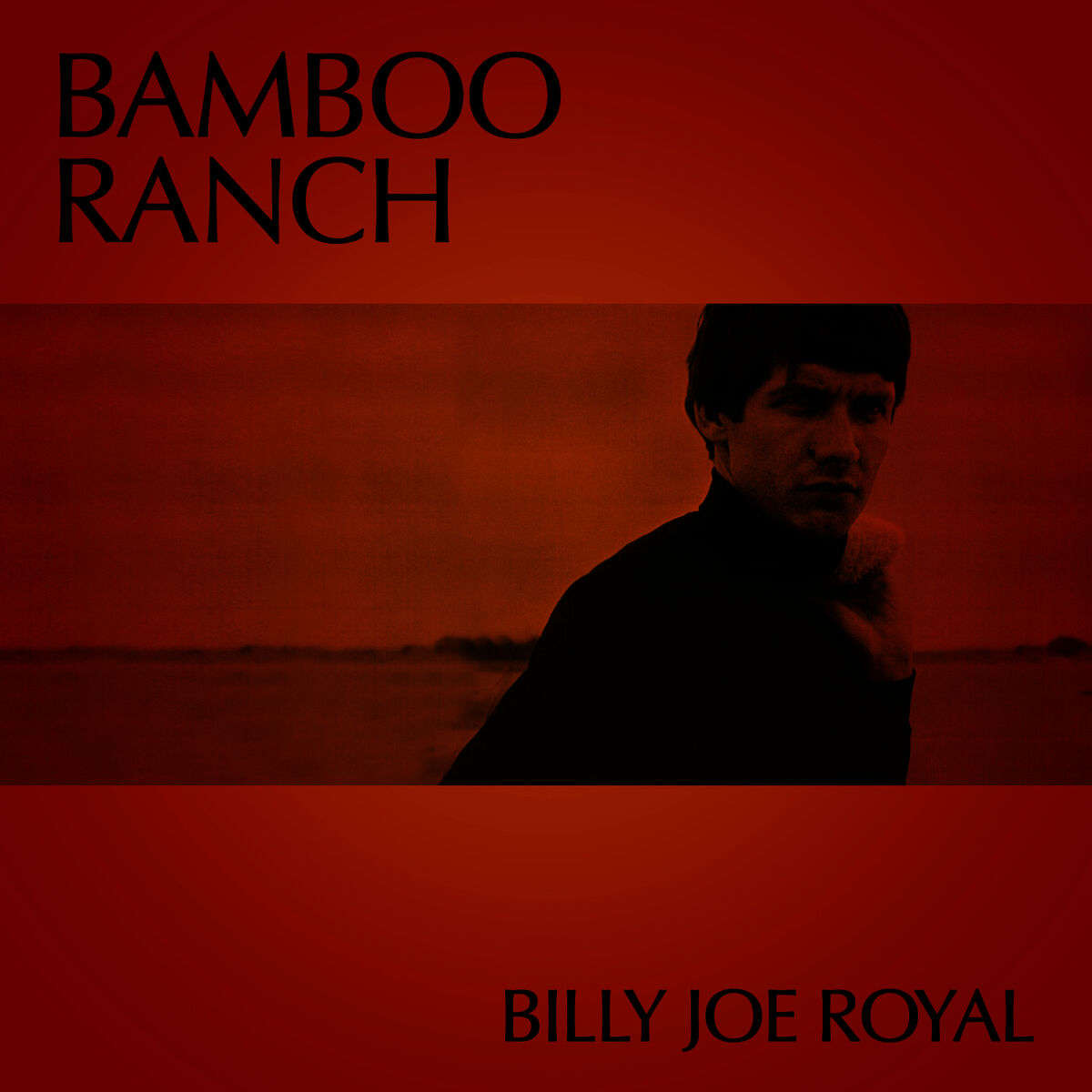 Album cover of Bamboo Ranch