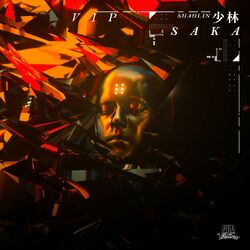 Cover of Shaolin (Remixes)