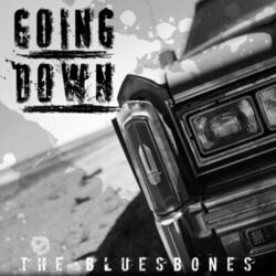 Cover of Going Down