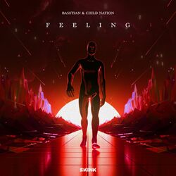 Cover of Feeling