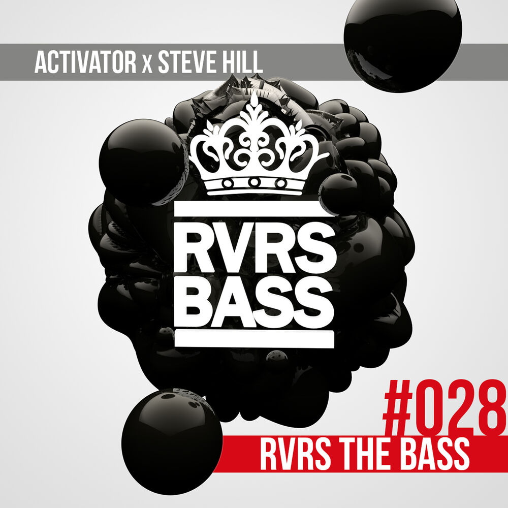 Picture of RVRS the Bass