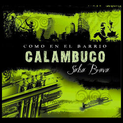 Cover of Como en el Barrio