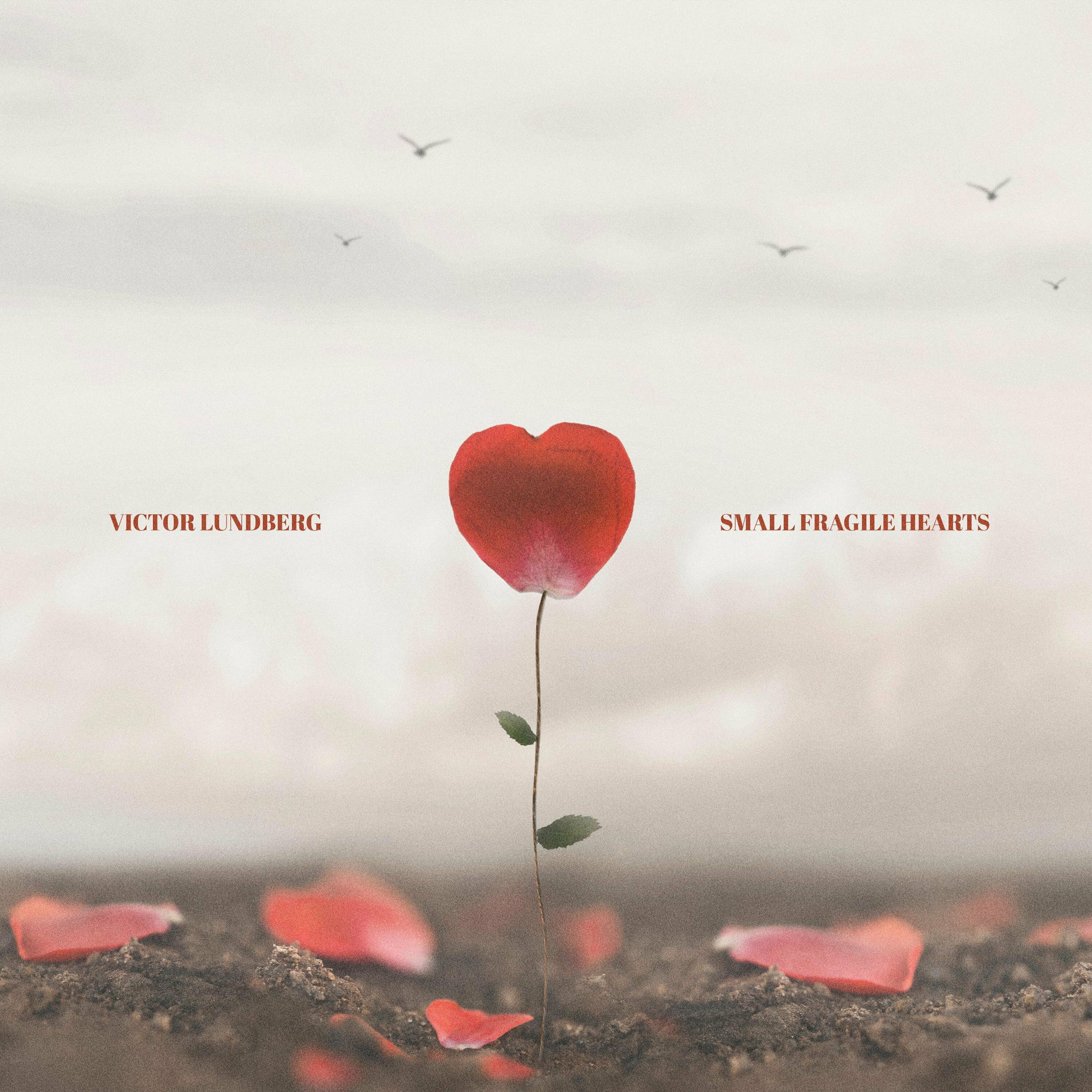 Album cover of Small Fragile Hearts