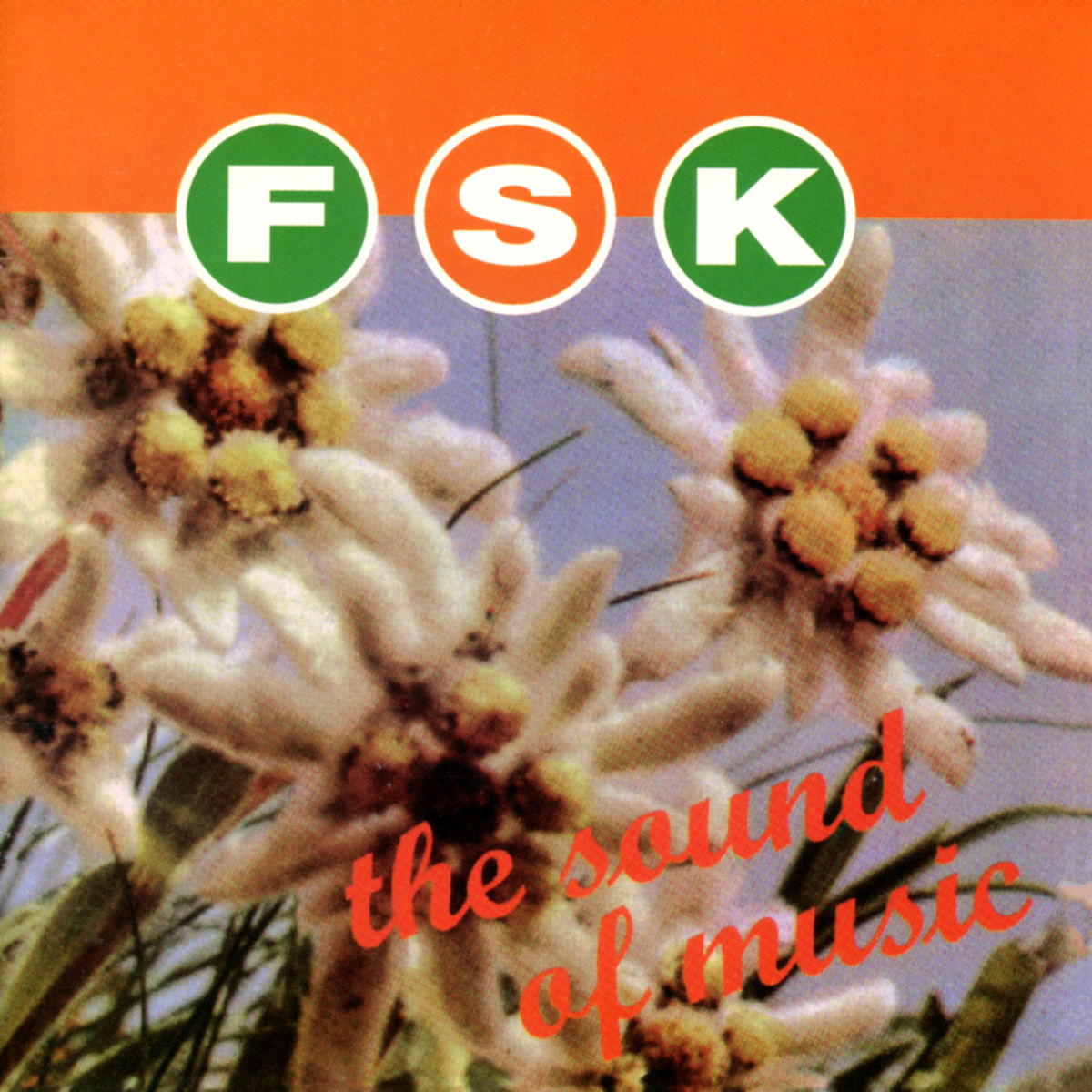 Album cover of Flagge Verbrennen (Regierung Ertränken)