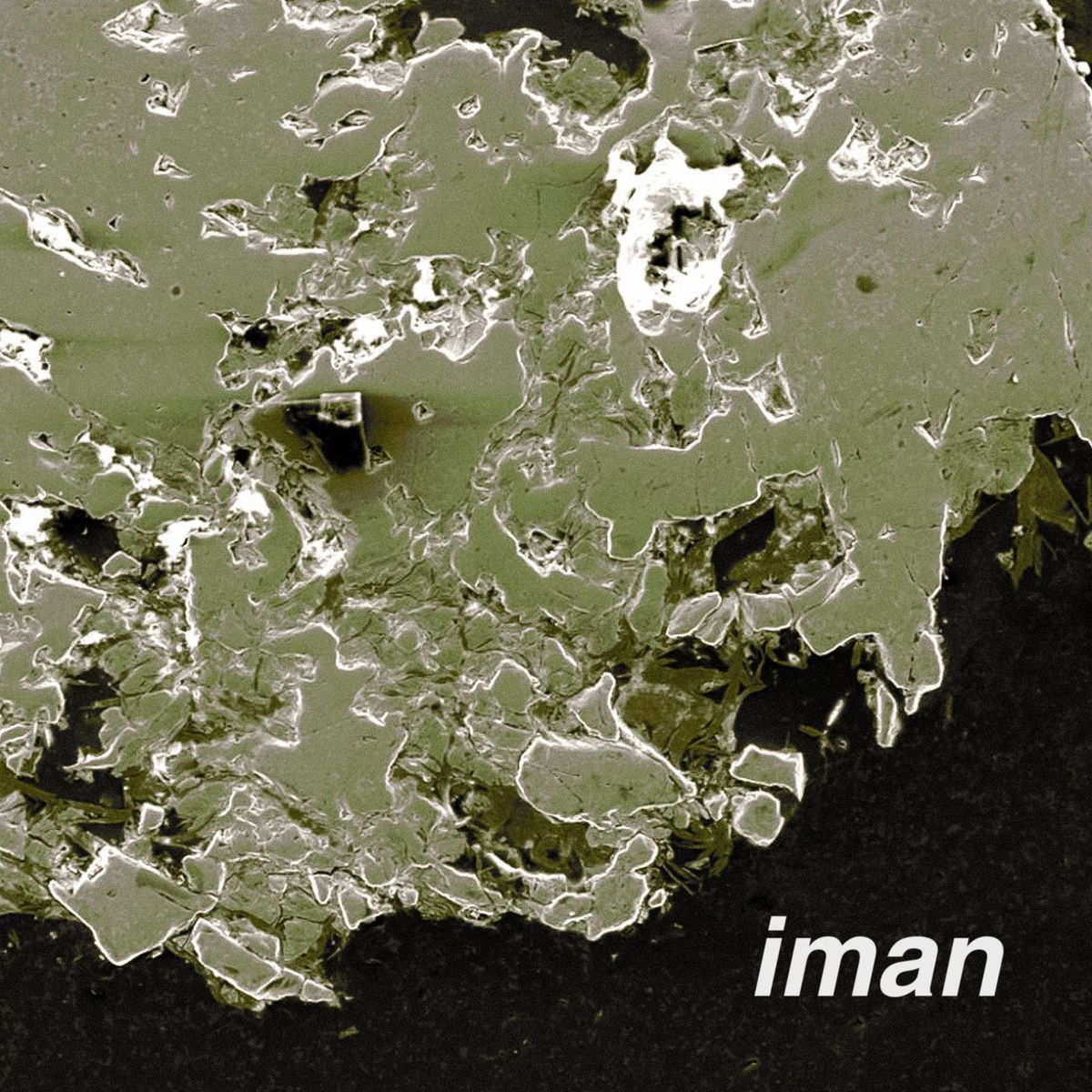 Album cover of Iman