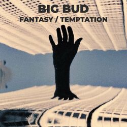 Cover of Fantasy / Temptation