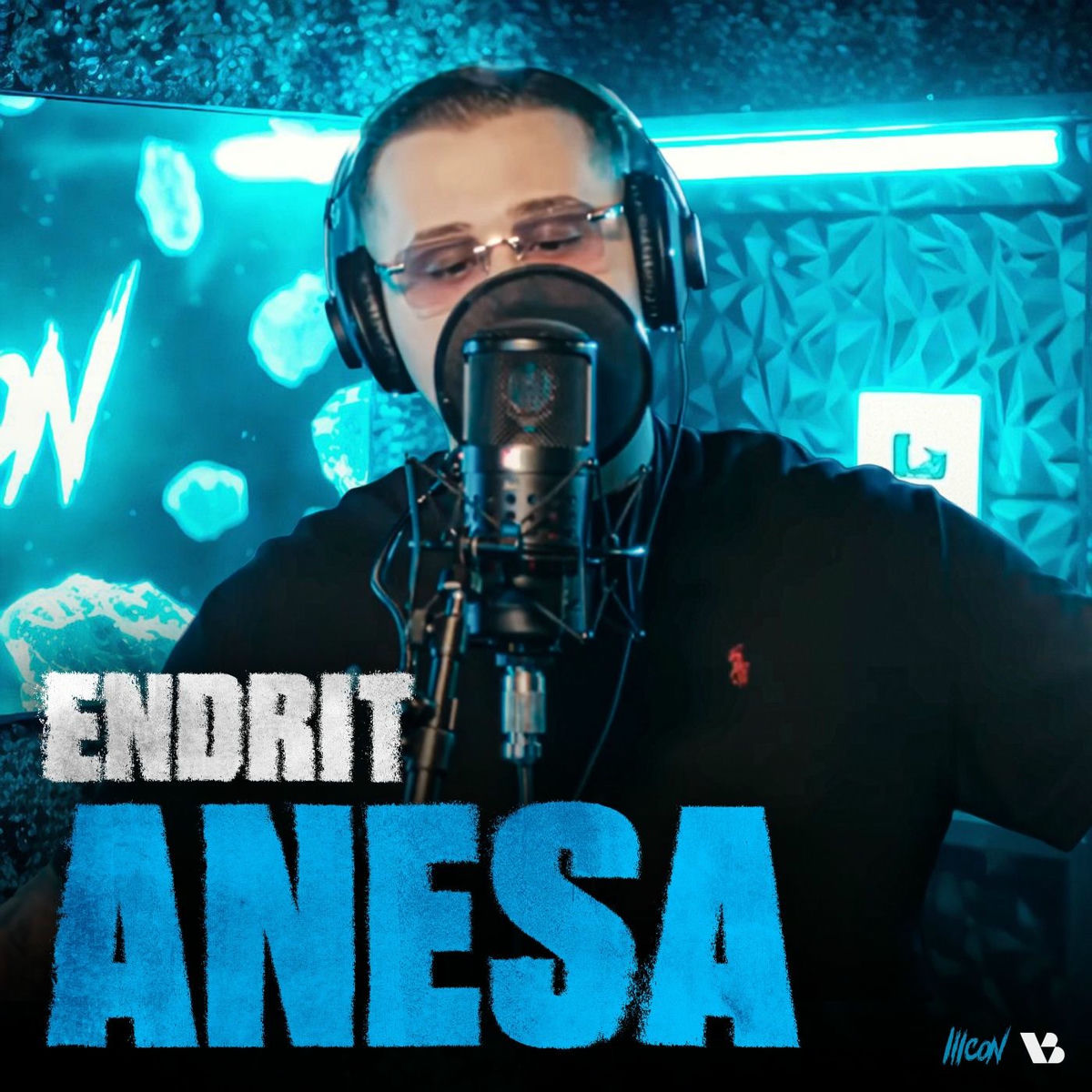 Album cover of Anesa