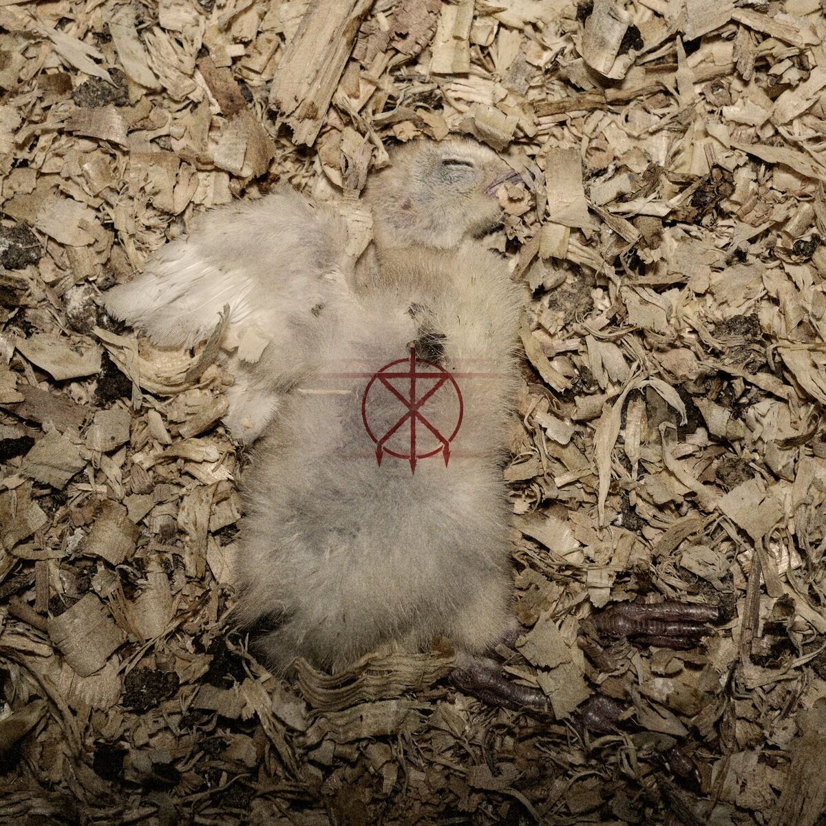 Album cover of V For Visceral