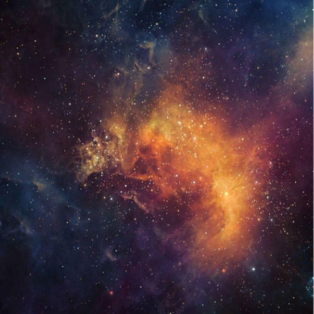 Picture of No Return (feat. Tyler Fiore)
