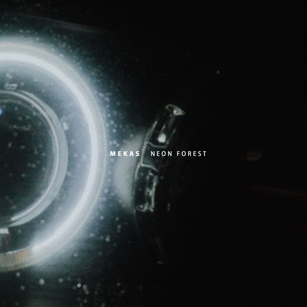 Picture of Neon Forest