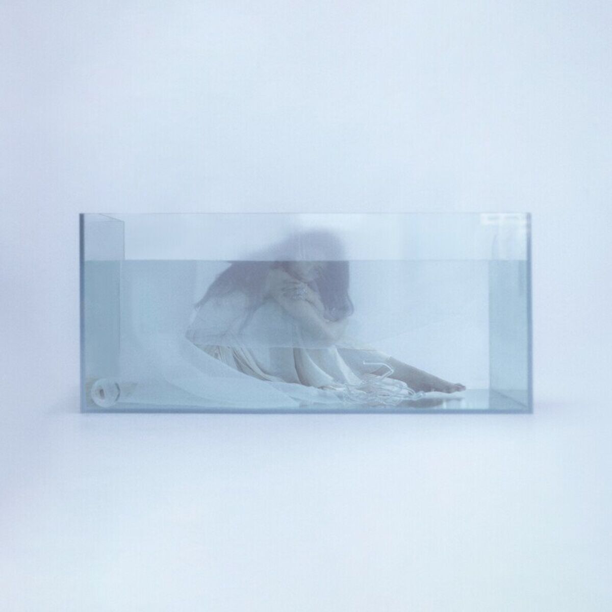 Album cover of jellyfish