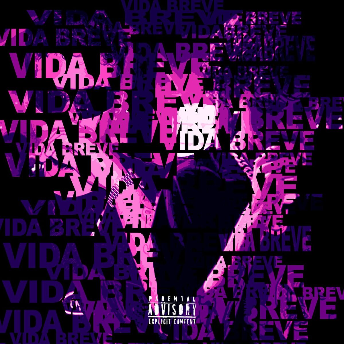 Album cover of Vida Breve