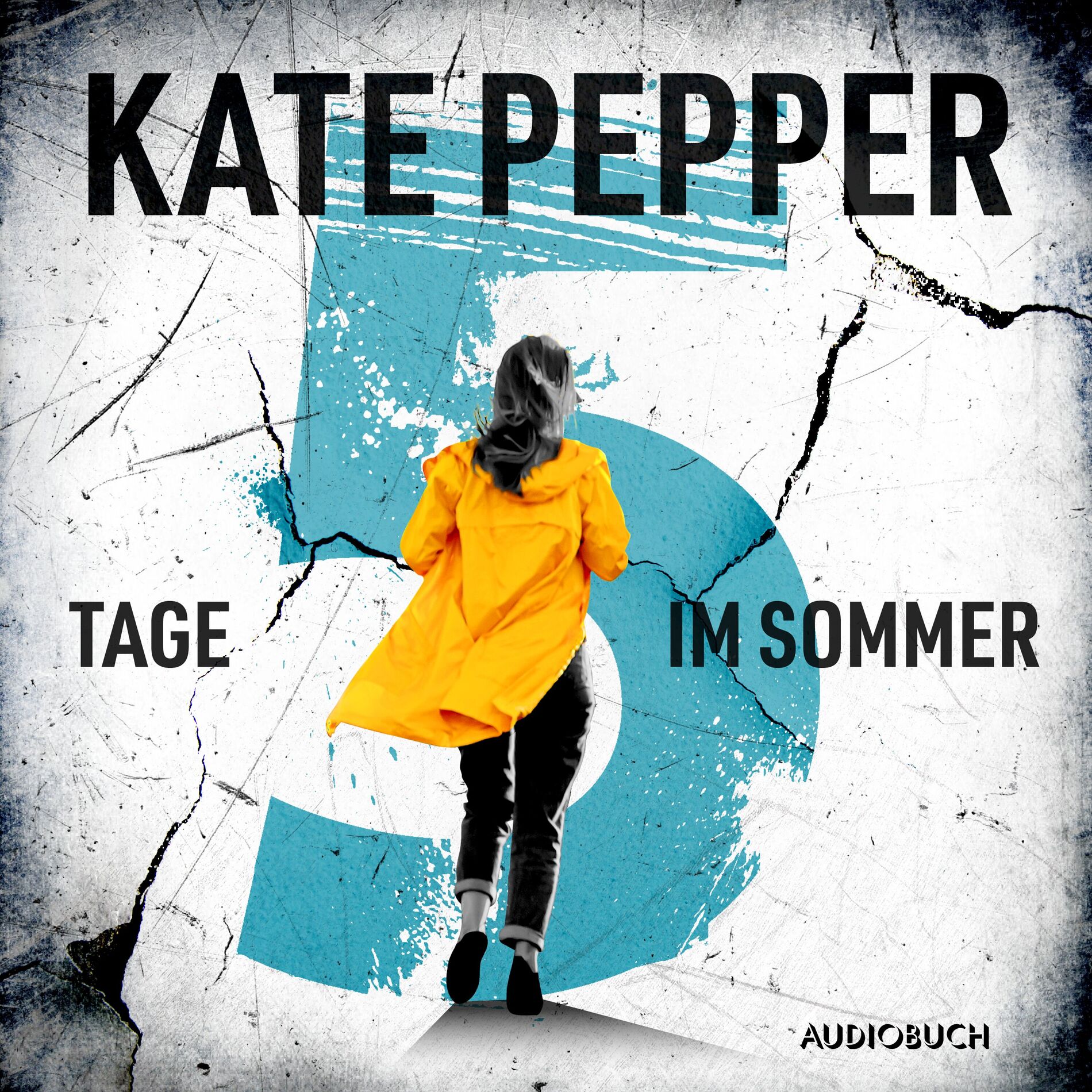Album cover of 5 Tage im Sommer