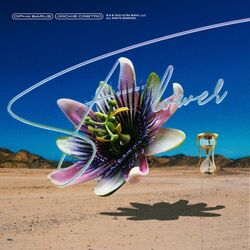 Cover of Flower