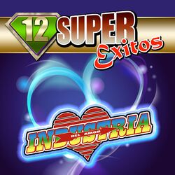 Cover of 12 Super Exitos