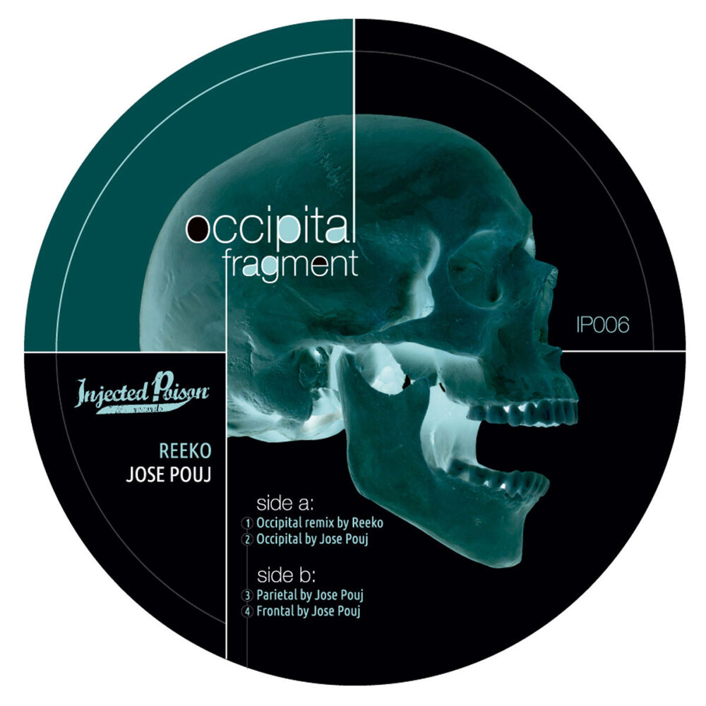 Picture of Occipital Fragment