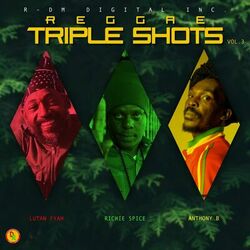 Cover of Reggae Triple Shots, Vol. 3