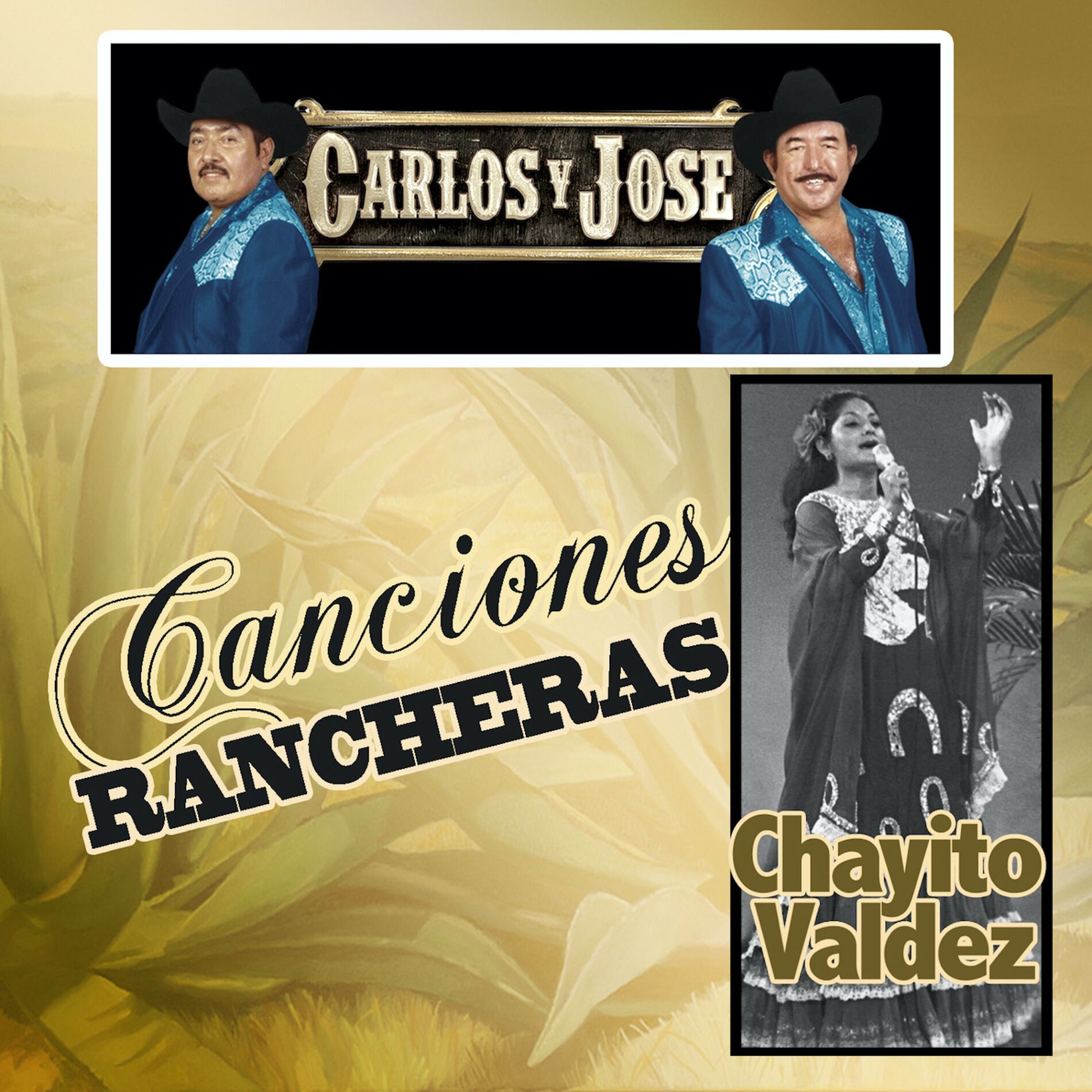 Album cover of Canciones Rancheras