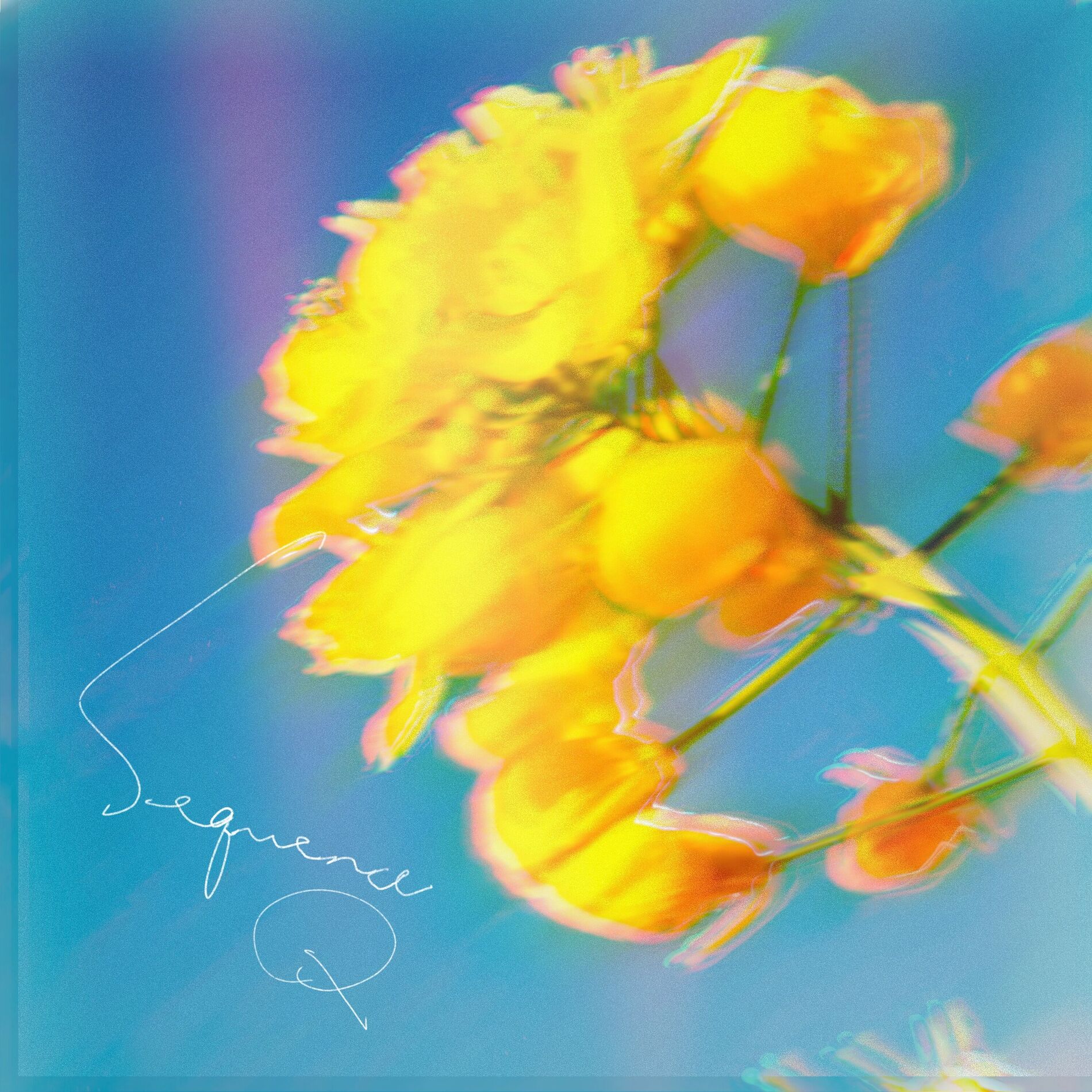 Album cover of Sequence Q